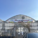 더리버온 | 부산 강서구 애견동반 맛집 둔치국수 &amp; 카페 더리버온, 찐내돈내산 후기!