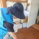 보길면-1 이미지