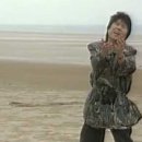 아름다운강산 이미지