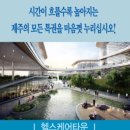 까사인 제주 이미지