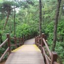 빈스브루 이미지