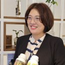 진설초해(주) 이미지