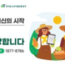 농수산물도매시장(원협공판장) 네이버블로그