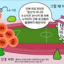 에너지원 Daum카페