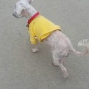 남산면사무소 이미지