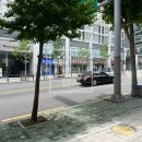 사임당로(1) 이미지