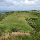 구좌공설묘지 이미지