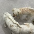 네일비비하다 - 동래구 온천천로 145 | 네일비비하다