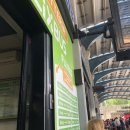 D00162 | [체코 교환학생] D+129, 로마에서 피렌체로!-플릭스버스 이용후기 / 피렌체여행-트러플파스타 맛집,숙소...