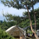 참숯생고기 이미지