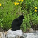 야외음악당 | [용인 수지구 등산로 추천] 대지산 7구간 코스 상세 후기 (죽전야외음악당, 단국대학교 정문 출발)