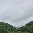 신나는하늘땅태권도 | 대관령 가볼만한 곳 하늘목장 임산부 할인 요금 포토존 여행코스 추천