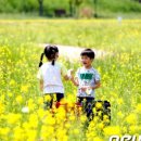 동림북구 어린이집 이미지