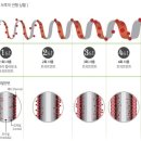 헤나킹 이미지
