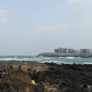 알멩이 게스트하우스 이미지