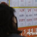 강원부동산중개사무소 이미지