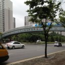 신나무실육교 이미지