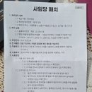 약손약의료기 | 붙이는 자석파스 사임당패치 사용 후기｜근육통, 손목통증에 효과 있었던 자석패치