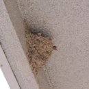 용소리마을회관 이미지