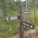 홍익아파트(종합운동장방향) 이미지