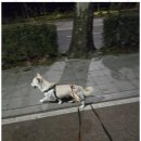 힐링체형 이미지