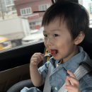 그늘과 빛의 기억  | 아기 얼굴흉터제거 레이저치료 1회~6회차 후기::부산 피부과 얼굴흉터치료