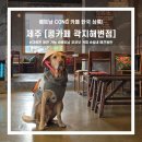 CONG CAPHE 한국 상륙! 콩카페 제주 곽지해변점 / 곽지해수욕장 카페 추천 / 콩카페 메뉴, 주차, 애견동반
