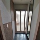 다우림 2차 이미지