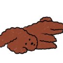 봄 펫살롱 이미지