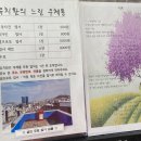 유치환의 우체통 이미지