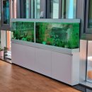 군산도담유치원 이미지