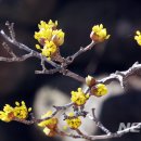 탁구 (중급반) 이미지