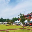 도서관 마당에서 가을 숲 캠핑 이미지