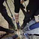 삼호농장3 이미지