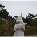 새남쪽나라횟집