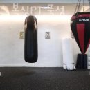 플렉스 복싱 PT 이미지