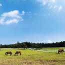 덕양목장1 이미지