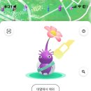 참성심약국 이미지