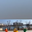 1438 | ☕ 전주 팔복동 카페 ‘추탄 1438’ 방문 후기 – 루프탑, 애견동반존, 예식공간까지 완벽한 감성카페