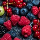 베리 핏 피티 이미지