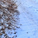 청천초 신월분교 이미지