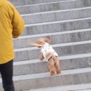 누구도 멈추게 할 수 명색(名色)의 강