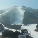 17년2월4~5일 웰리힐리파크 1박2일 스키장&amp;설매 2030산악회 이미지