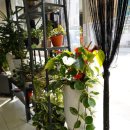 이지헤어샵 이미지