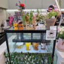 동구청 1층 까페 이미지