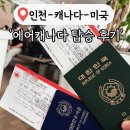 보스턴참치 | Canada 에어 캐나다 탑승 후기 인천-토론토-몬트리올-보스턴 (예매 가격, 탑승 후기, 기내식, 경유 방법)