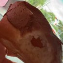 단빵마을 | 뚜쥬르 빵돌가마마을 내돈내산 토요일낮 방문후기