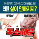 찜질사랑 숲