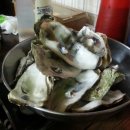 스쿠버다이버의집 이미지