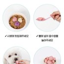 우리몽 | 알로키친 친환경 인증 강아지요거트 추천